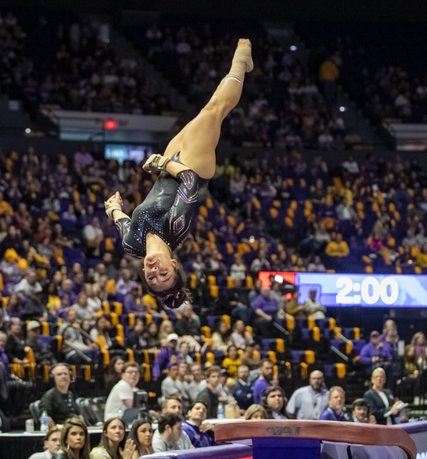 BR.lsugym.012123_012 MJ.JPG